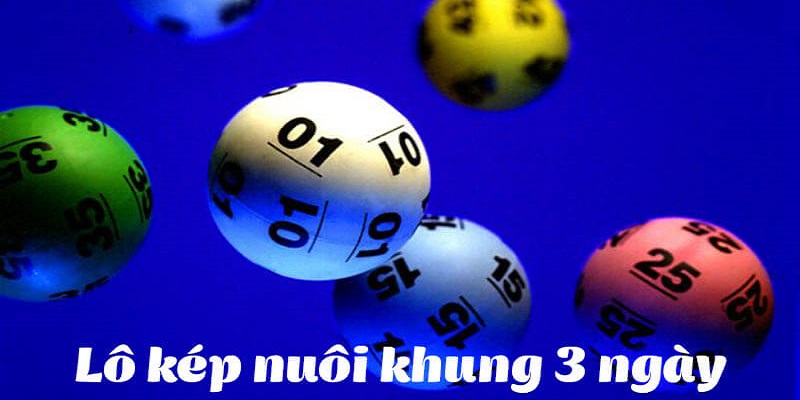 Giới thiệu các biến thể lô kép chi tiết tại 77win